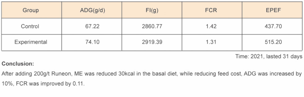 Bile Acids for Broilers