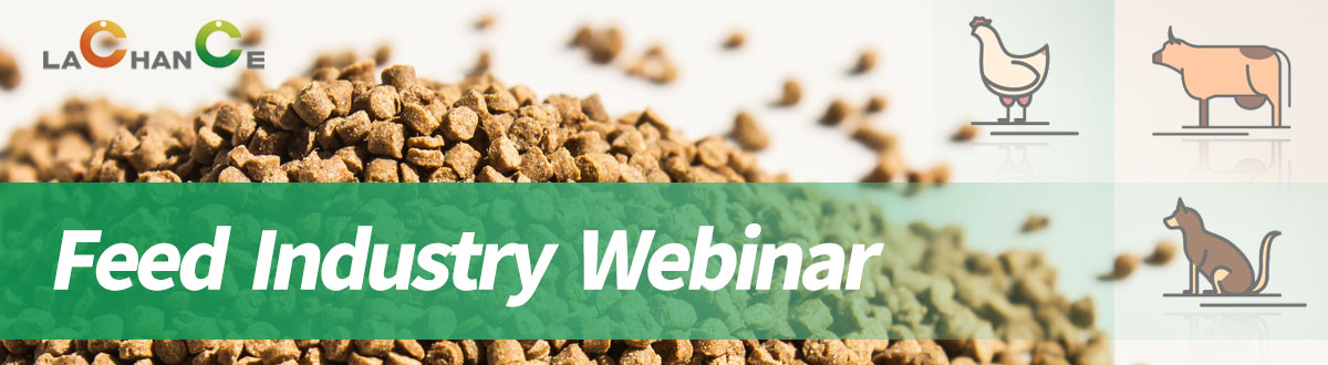 Driving Profitablity and Innovation in Poultry