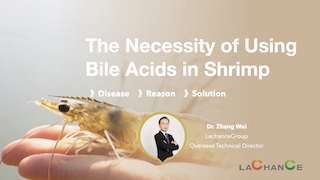 The Necessity of Using Bile Acids in Shrimp