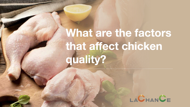 What are the factors that affect chicken quality