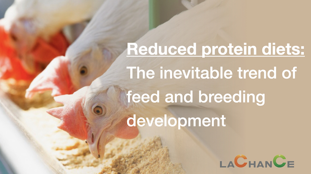 Reduced Protein Diets：The inevitable trend of feed and breeding development