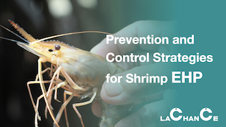 Prevention and Control Strategies for Shrimp EHP