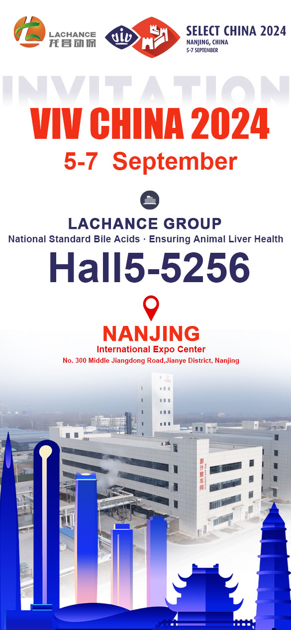 Nanjing VIV 2024