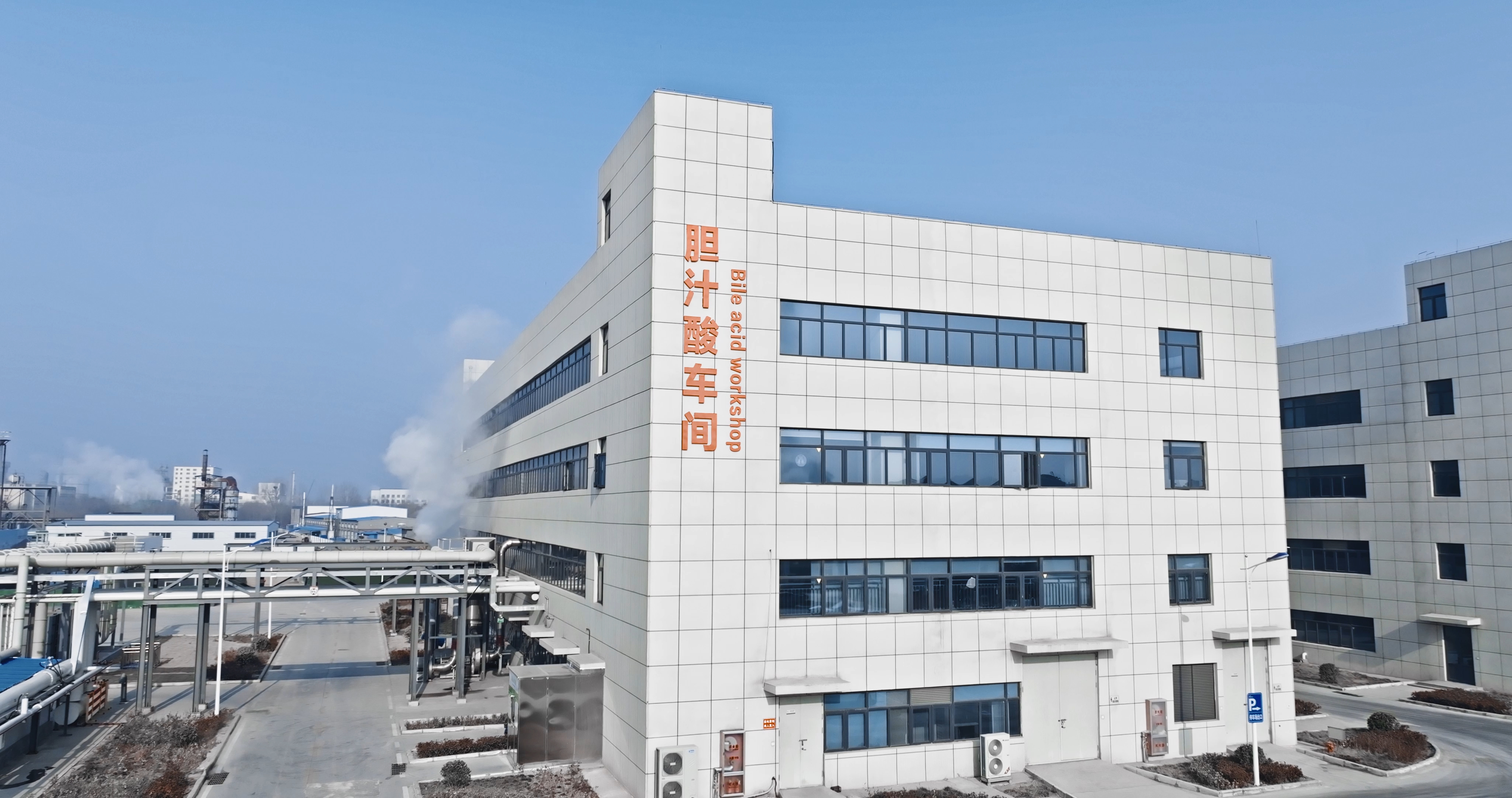 Original Processes, Smart Manufacturing: Lachance Bile Acids Industrial Park Achieves Dual Improveme