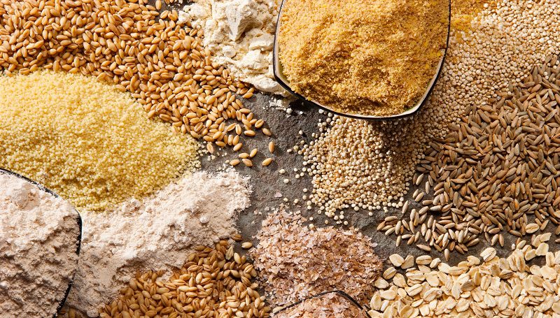 Feed Cost Reduction and Efficiency Improvement | Utilization of Unconventional Plant Protein Feed In