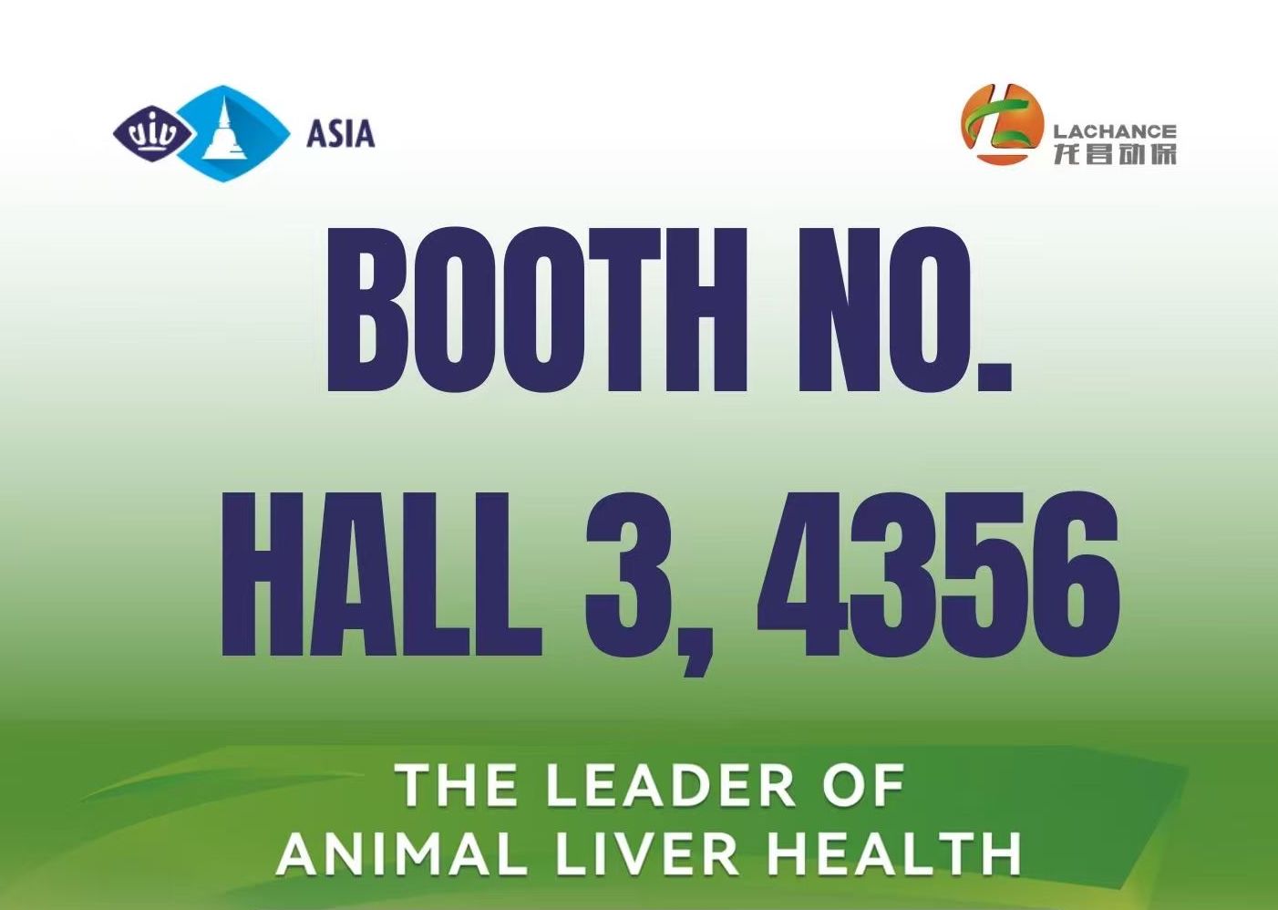 2025VIVAsia Booth No.Hall 3,4356