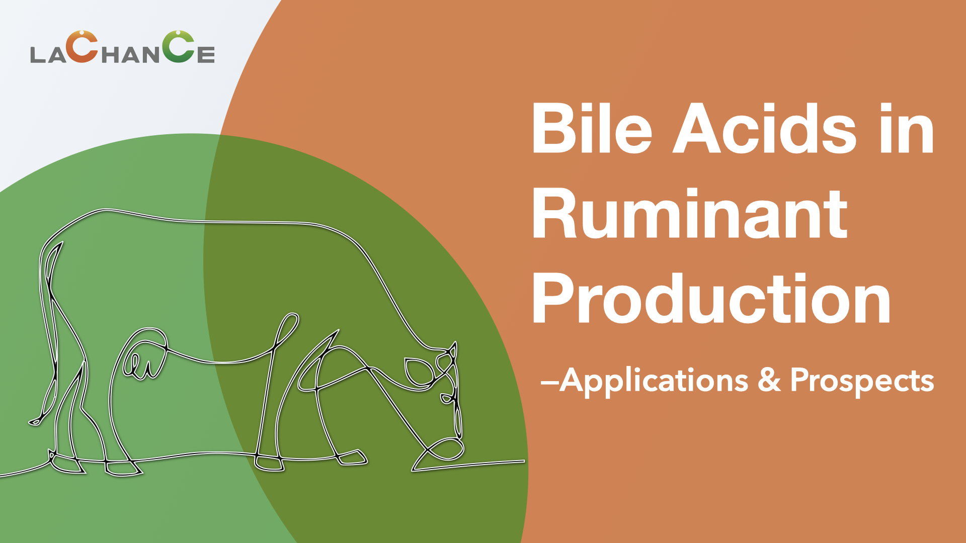 Applications and Prospects of Bile Acids in Ruminant Production