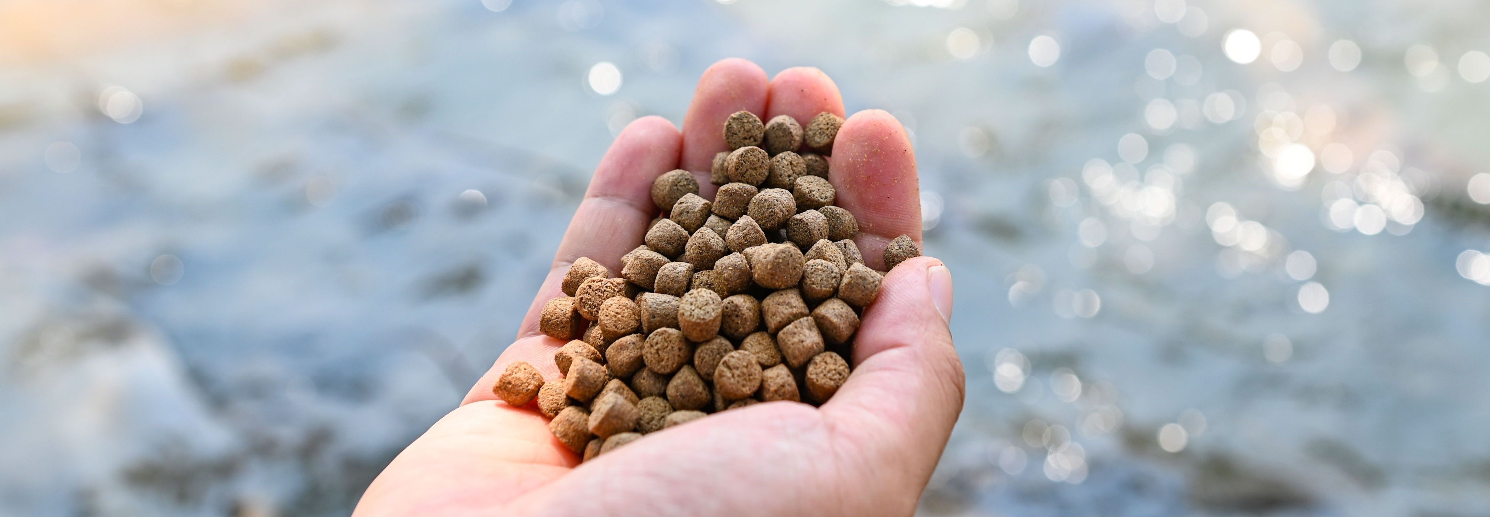 fish_feed_aquaculture_nutrition_af149ddce4.jpg