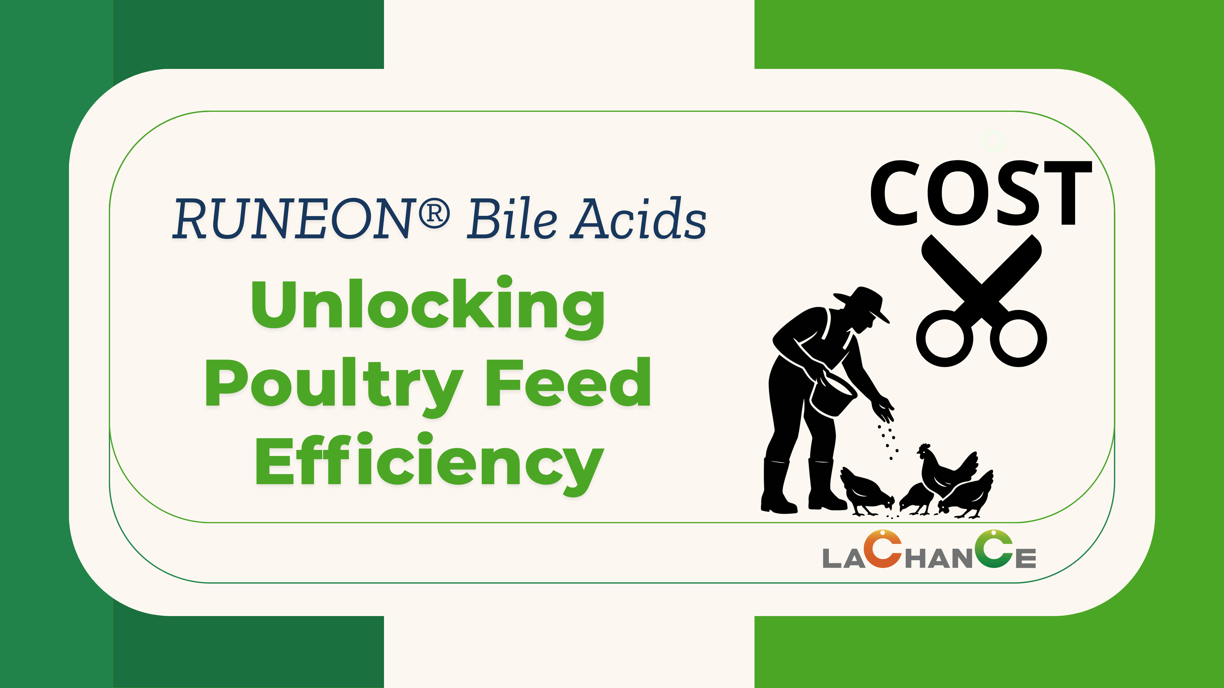 RUNEON® Bile Acids: A Technical Lever for Cost-Effective Poultry Feed