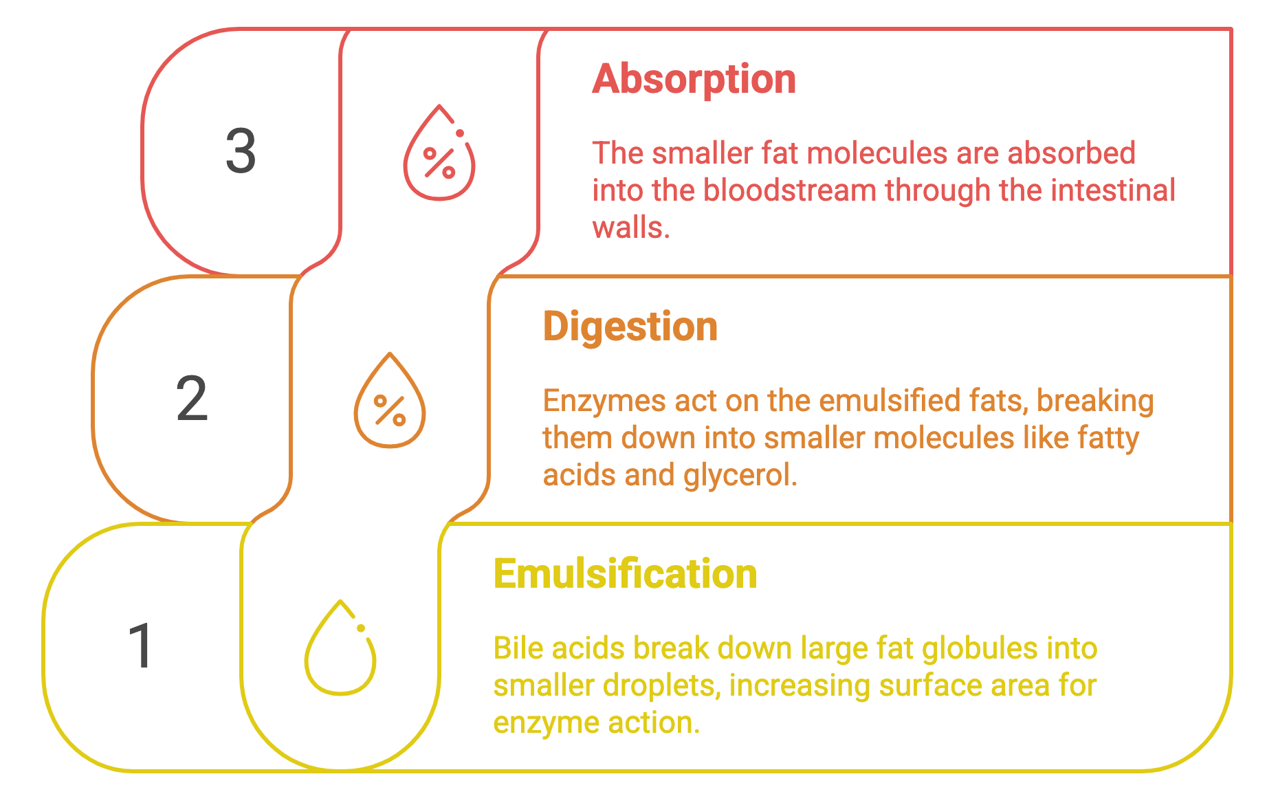 _- visual selection的副本.png
