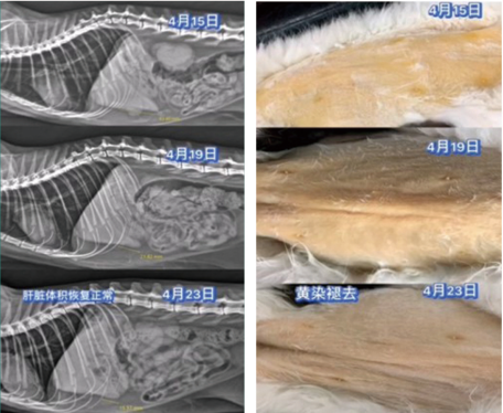 截屏2025-12-02 上午9.53.44.png