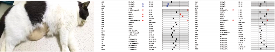 截屏2025-12-02 上午10.01.45.png