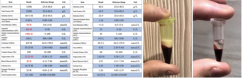 截屏2025-12-02 上午10.21.12.png
