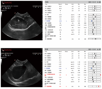 截屏2025-12-02 上午10.38.47.png