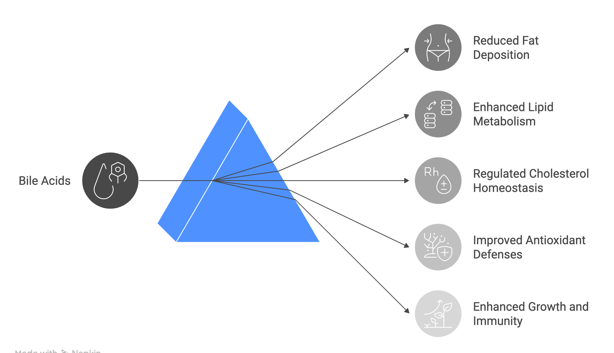 _- visual selection的副本2.png